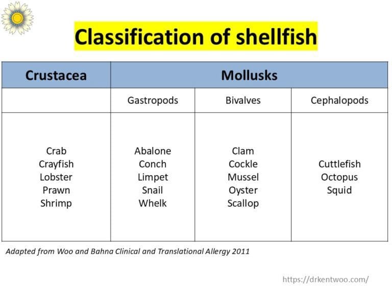 Can You Eat Other Shellfish If You’re Allergic to Shrimp or Prawn?