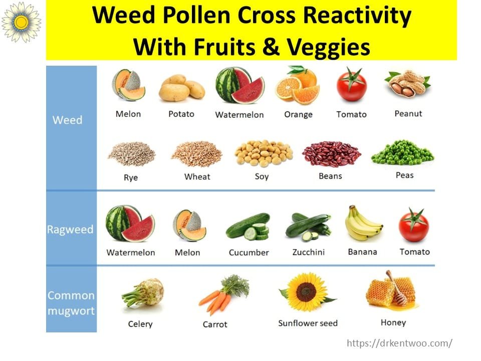 Weed Grass Pollen Allergy Cross Reactive Foods Weed Grass Pollen Allergy Cross Reactive Foods